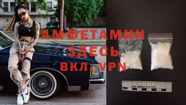 шишки Нея