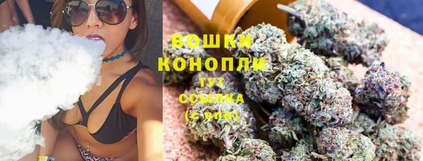 бошки Новозыбков