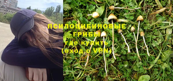 apvp Новокубанск
