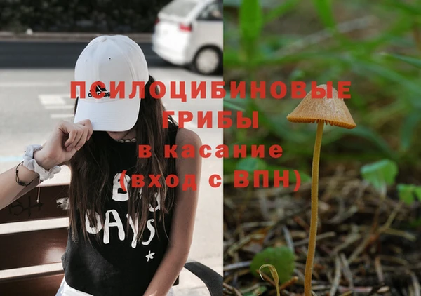 эйфоретик Нефтекумск