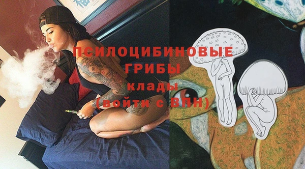 apvp Новокубанск